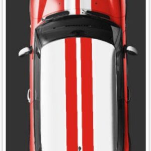 GRAFICA - BONNET VIPER STRIPES ART B005