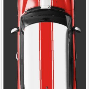 GRAFICA - BONNET SHELBY COOPER S ART B006A