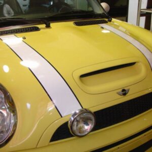 GRAFICA - BONNET STRIPES NON ORIGINALI CON BORDO IN CONTRASTO