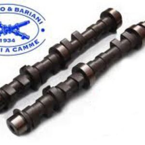 COLOMBO E BARIANI - ALBERO A CAMME