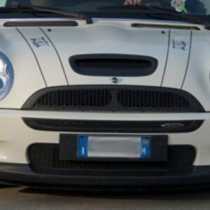 GRAFICA - BONNET STRIPES CLASSICHE (SOLO BORDO)